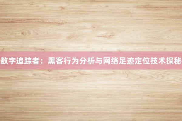 数字追踪者：黑客行为分析与网络足迹定位技术探秘