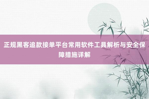 正规黑客追款接单平台常用软件工具解析与安全保障措施详解